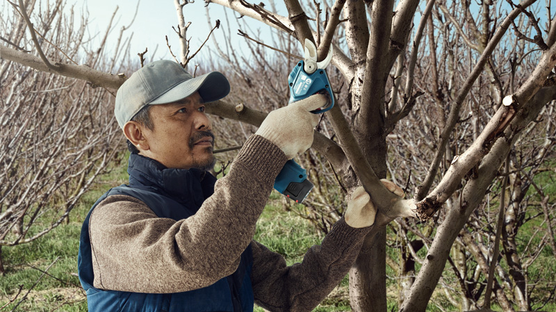 BOSCH aku škare za grane Pro Pruner 2xAku 12V 3,0Ah - Slika 9