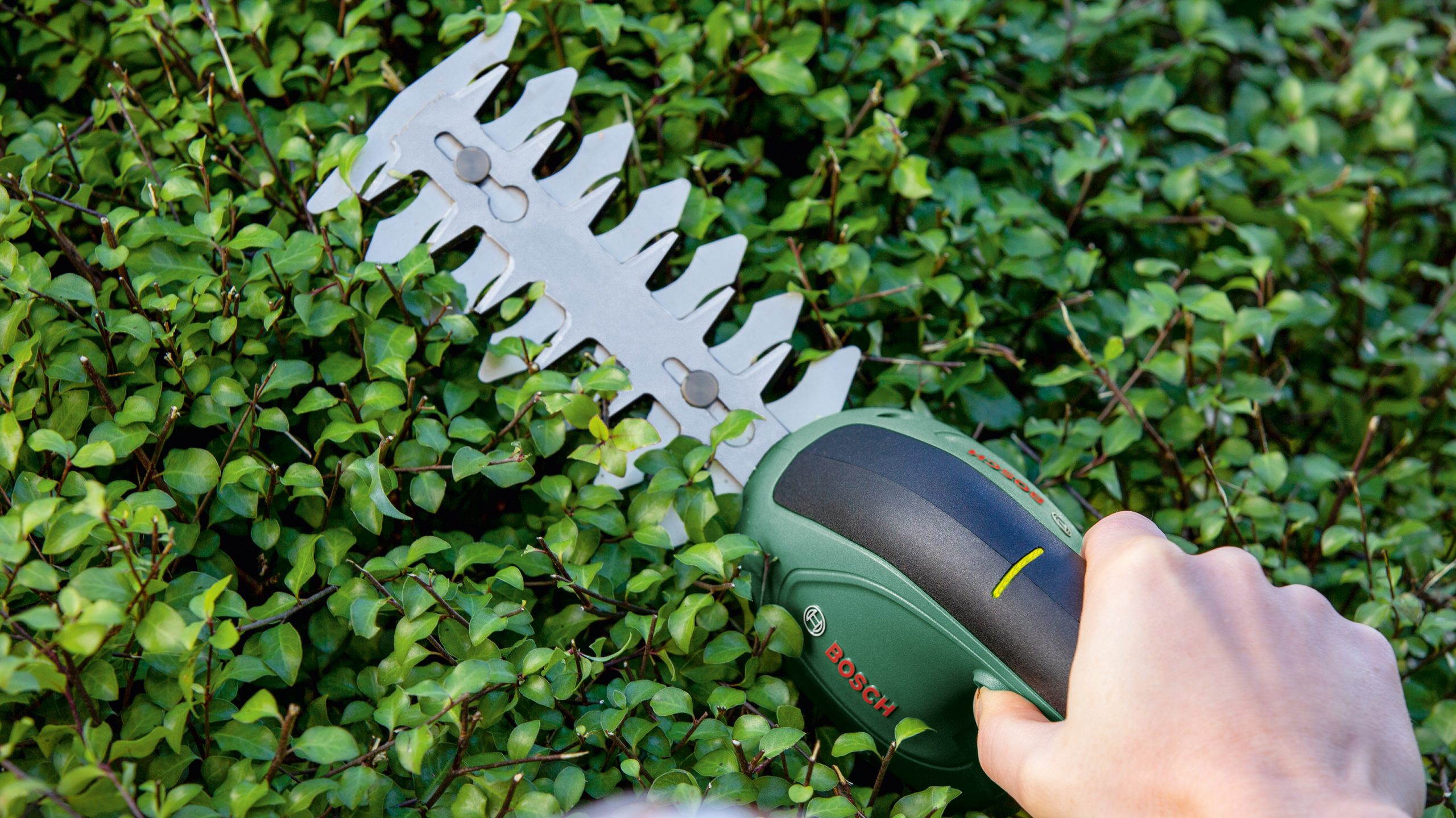 BOSCH aku škare za travu i grmlje EasyShear 3,6V 1,5Ah - Slika 3
