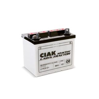 CIAK akumulator Starter Traktor 12V 30Ah D+