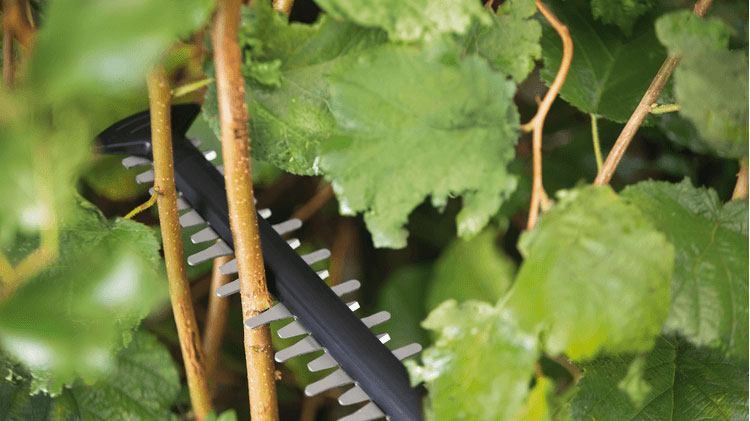 BOSCH aku škare za živicu UniversalHedgeCut 18V-55 18V bez baterije - Slika 4