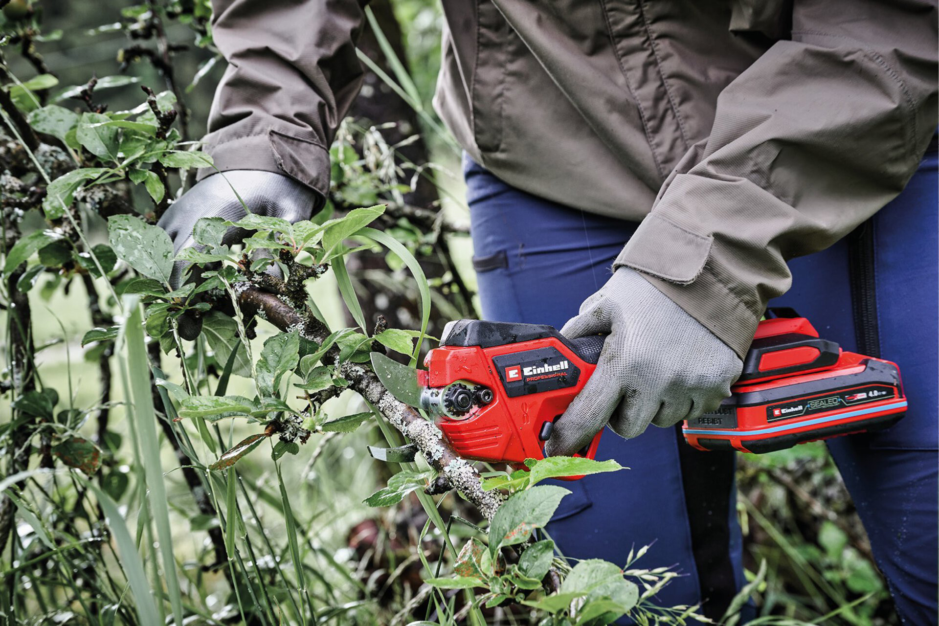 EINHELL PROFESSIONAL aku teleskopske škare za grane GP-LS 18/28 Li BL T PXC 18V bez baterije - Slika 9