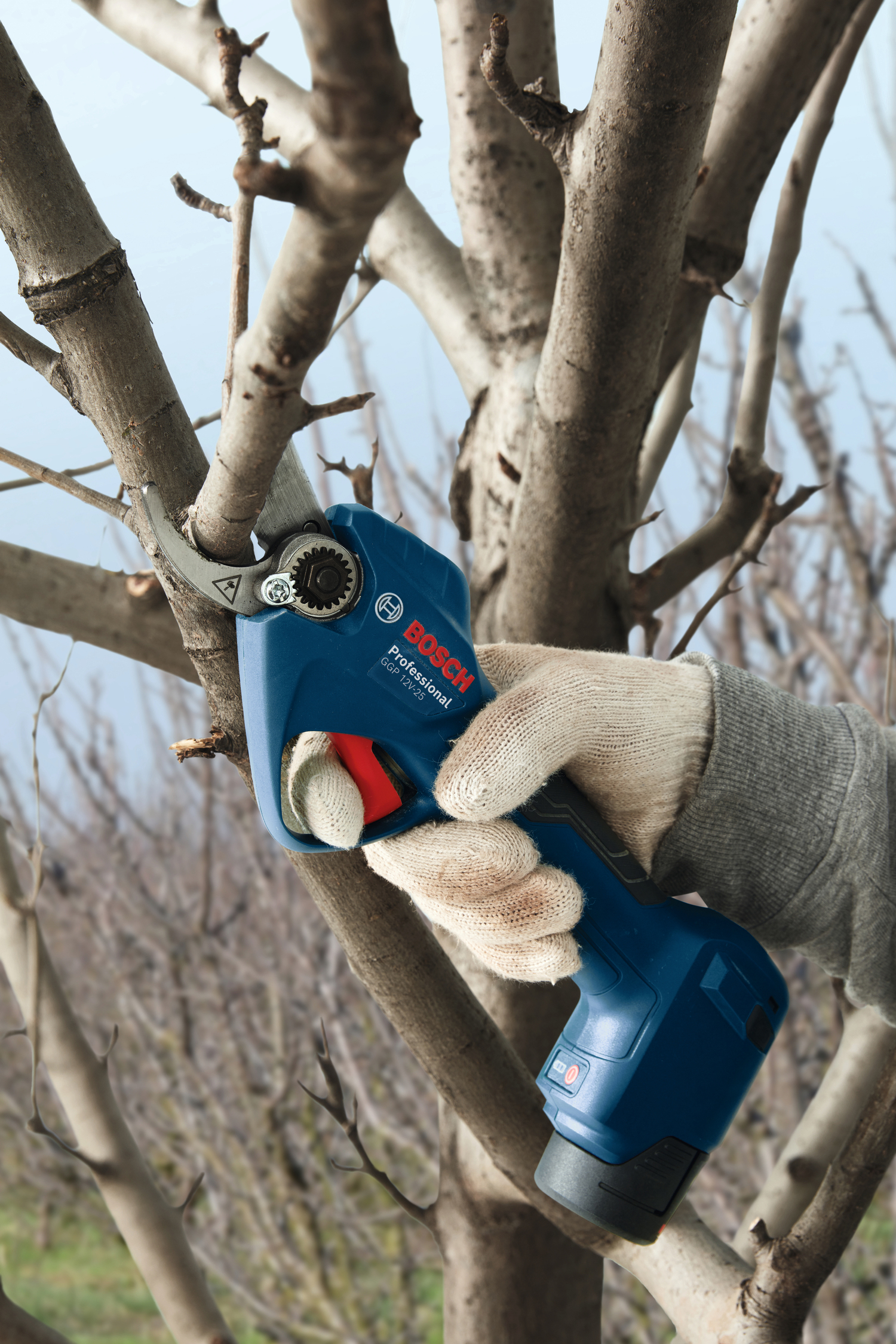 BOSCH aku škare za grane GGP 12V-25 2xAku 12V 3,0Ah - Slika 6