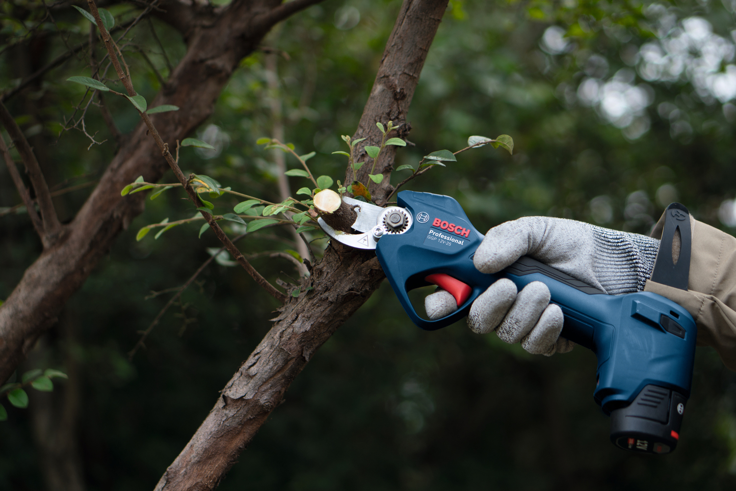 BOSCH aku škare za grane GGP 12V-25 2xAku 12V 3,0Ah - Slika 5
